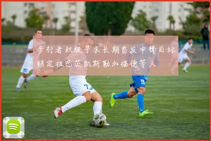 步行者积极寻求长期首发中锋目标锁定祖巴茨凯斯勒加福德等人
