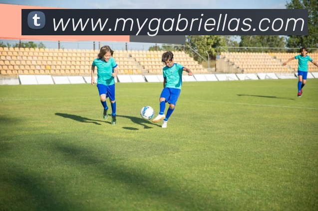 未来规划